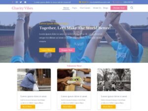 Charity Vibes care child WordPress Theme