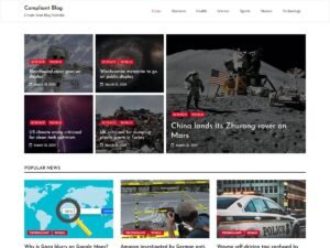 Compliant Blog kinds fashion WordPress Theme