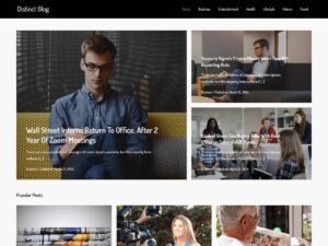 Distinct Blog kantipur themes WordPress Theme
