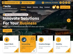 Flecto website amp WordPress Theme
