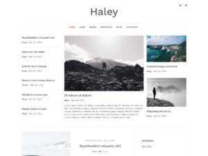 Haley fashion travel WordPress Theme
