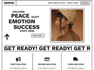 Hoopoe features style WordPress Theme