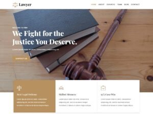 Kortez Lawyer websites options WordPress Theme