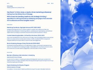 LeanCV blog structure WordPress Theme