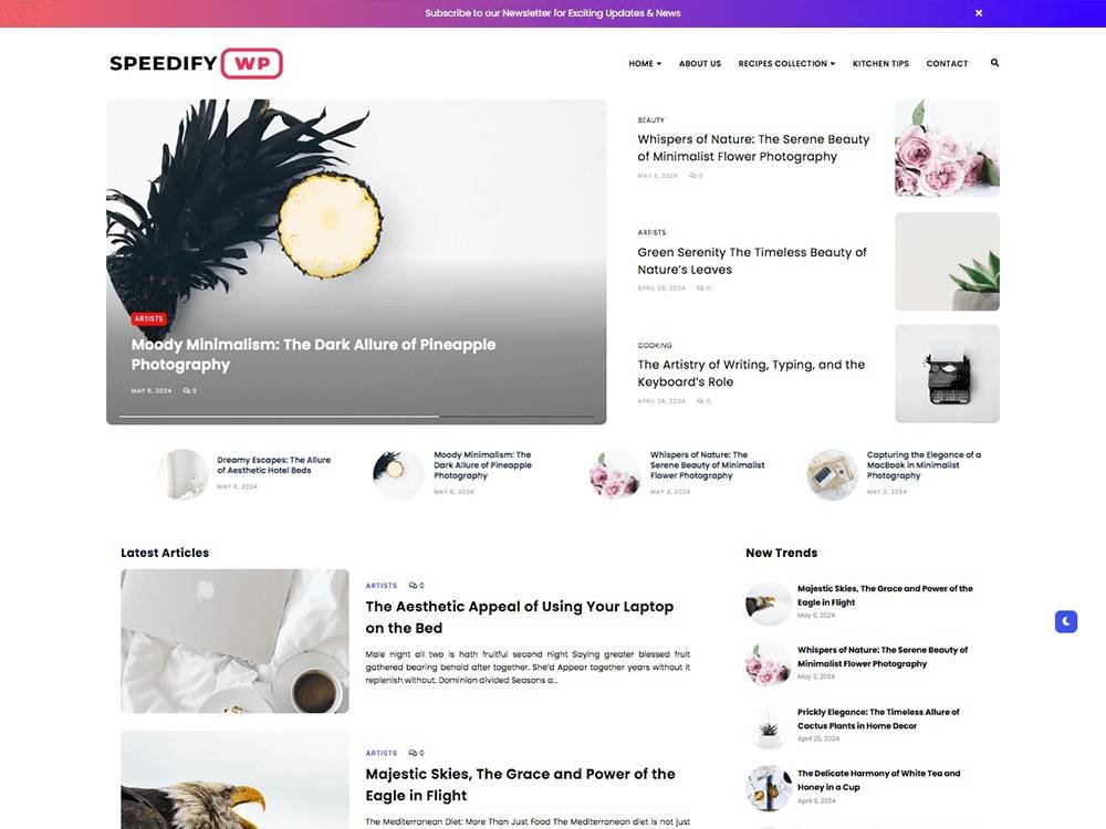 free best fast wordpress theme