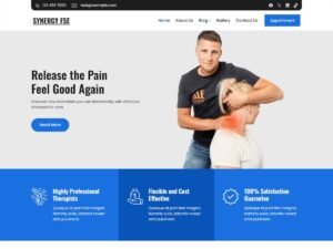 Synergy FSE health experts WordPress Theme