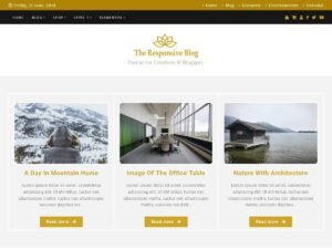 The Responsive Blog section page WordPress Theme