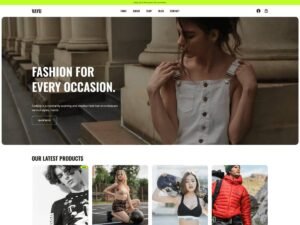 Vayu store e WordPress Theme