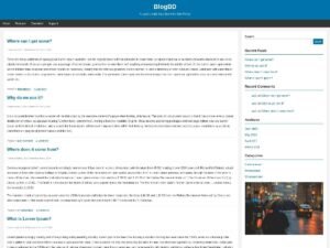 BlogBD blog WordPress Theme