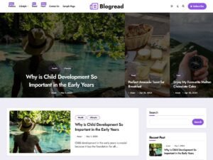 Free Blogread  WordPress Theme
