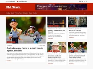 CM News content block WordPress Theme