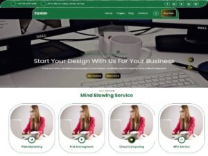 Elysian enterprises essence WordPress Theme