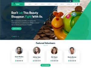 FSE Social NGO campaigns organisations WordPress Theme