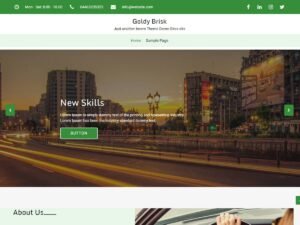 Goldy Brisk section features WordPress Theme