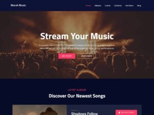 Marsh Music industry musicians WordPress Theme
