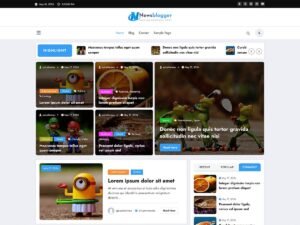 NewsBlogger data gdpr WordPress Theme