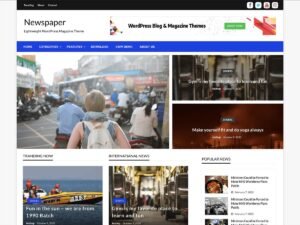 Newspaper Story magazines blogs WordPress Theme