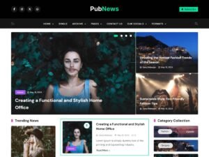 Pubnews news customizer WordPress Theme