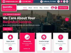 QuickBiz website amp WordPress Theme