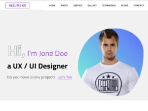 Resume kit portfolio career WordPress Theme