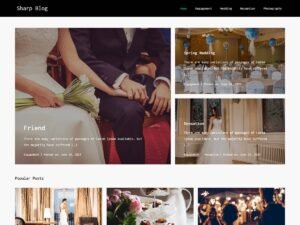 Sharp Blog kantipur themes WordPress Theme