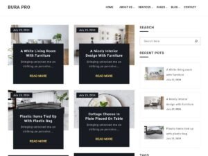 Free Doly Lite WordPress Theme