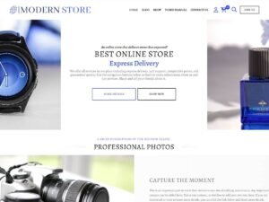 Free Ecommerce Modern Store WordPress Theme