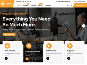 Free Flexina WordPress Theme