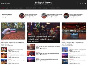 Free Indepth News WordPress Theme
