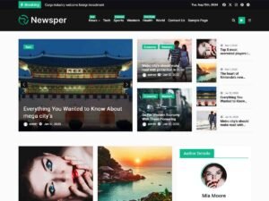 Free Newsper WordPress Theme