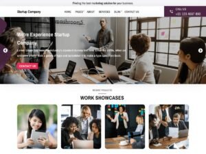 Free Alpha Business Startup WordPress Theme