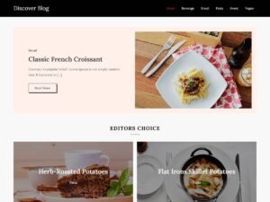 Free Discover Blog WordPress Theme