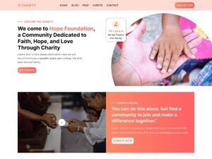 Free Expert NGO Volunteer WordPress Theme