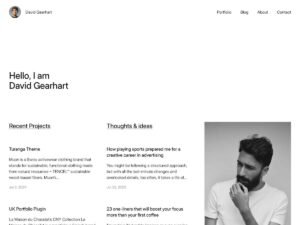 Free Havi WordPress Theme