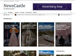 Free NewsCastle WordPress Theme