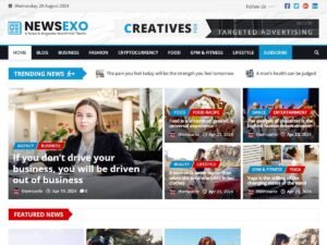 Free NewsExo WordPress Theme