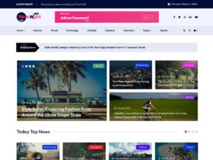 Free NewsNight WordPress Theme