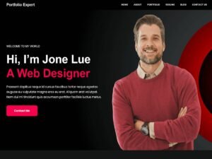 Free Portfolio Expert WordPress Theme