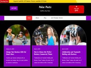 Free Pulse Posts WordPress Theme