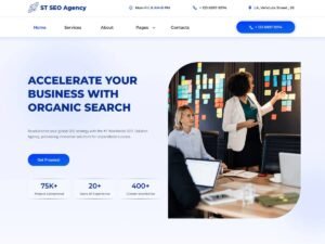 Free ST Seo Agency WordPress Theme