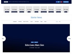 Free Starter News WordPress Theme