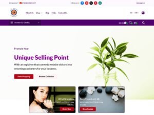 Free Transact WordPress Theme