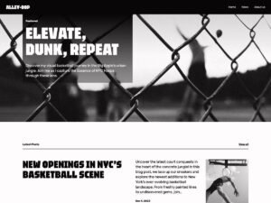 Free AlleyOop WordPress Theme
