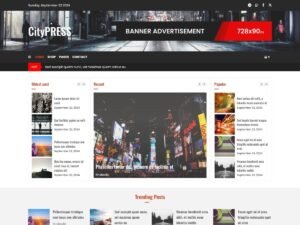 Free Citypress WordPress Theme
