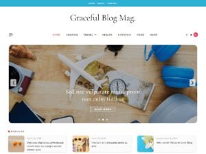 Free Graceful Blog Mag WordPress Theme