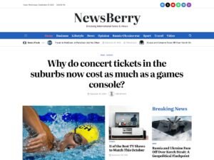Free NewsBerry WordPress Theme