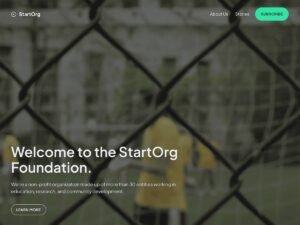 Free Startorg WordPress Theme