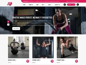 Free Alpha Health Coach WordPress Theme