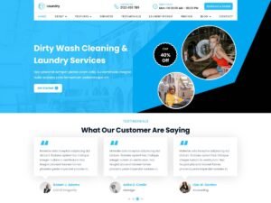 Free Laundry Cleaner WordPress Theme