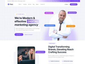 Free Para Digital Marketing WordPress Theme